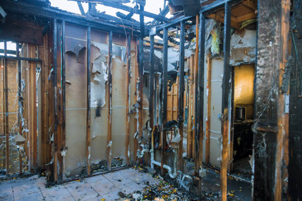 Professional Fire Damage Removal technician working in Forest Lake, MN