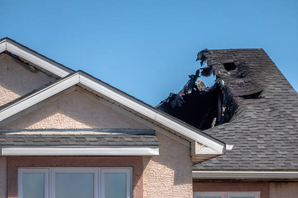 Top rated local Fire Damage Removal specialists in Forest Lake, MN